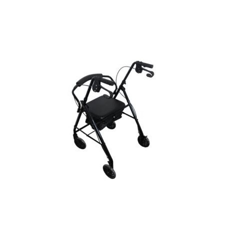 Andadera Rollator de acero R-6